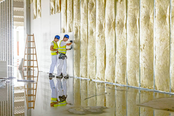 Best Commercial Insulation in Ave Maria, FL